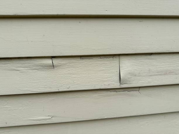 Best Historical Building Siding Restoration  in Chevy Chase, MD